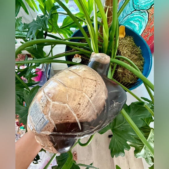 Petrified Wood Turtle - Picture 4 of 9